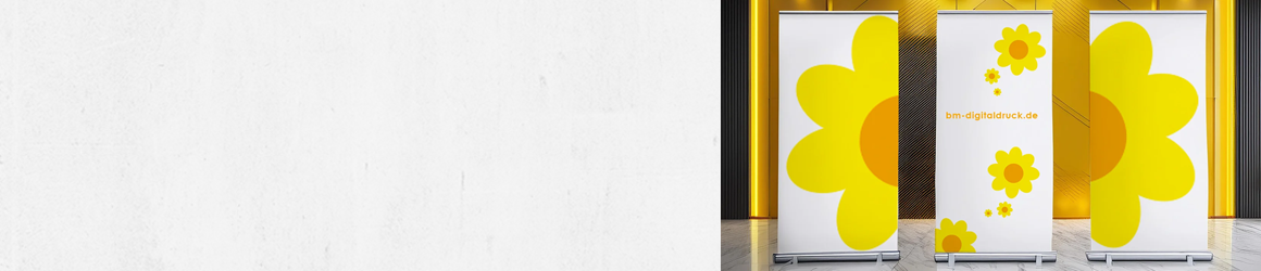 Rollup-Displays